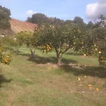 E בית נופש Rottani