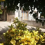E Rottani