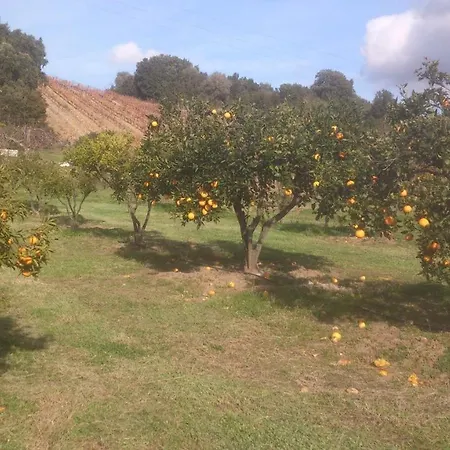 E Сasa de vacaciones Rottani