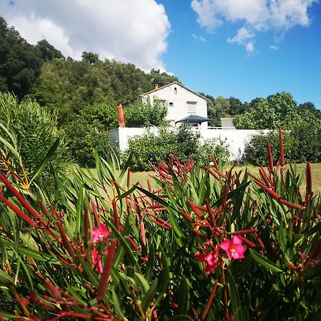 Holiday home E Rottane