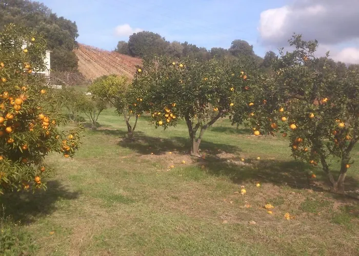 E Holiday home Rottane